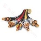 Electrical Lapp Cable 1